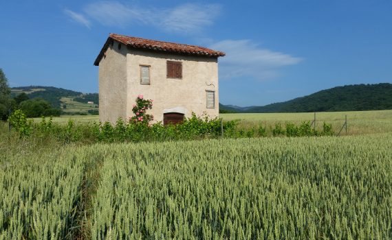 Loge de Goutailler. Chemin de Jobert. Champdieu.