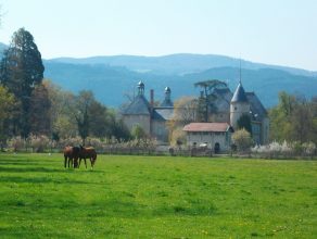 Château de Vaugirard. Champdieu