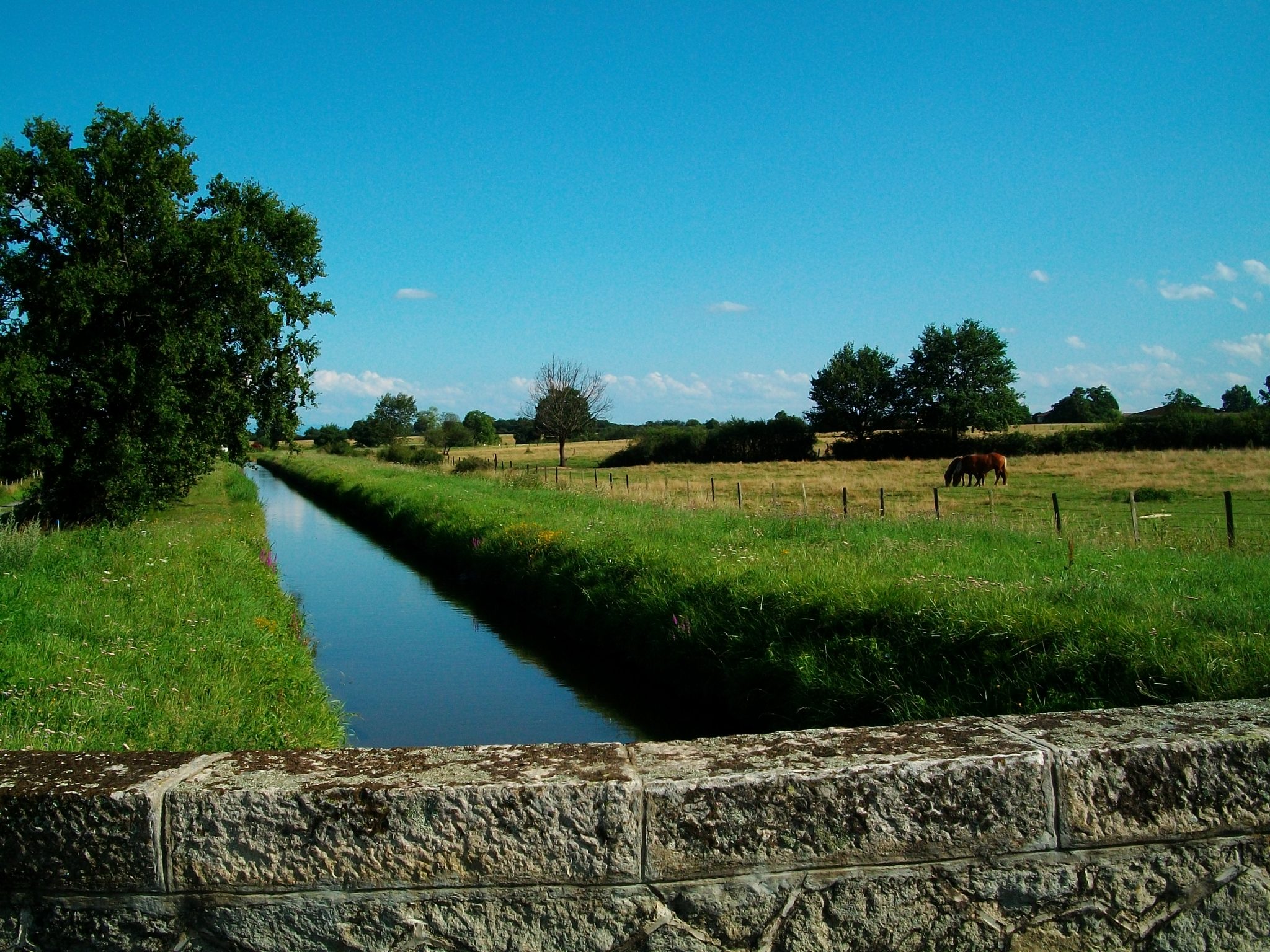 Ballade sur le circuit des Hérons  le long du Canal du Forez