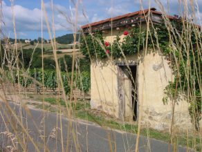 Loge de vigne. Les Brosses. Champdieu