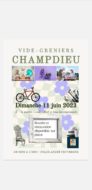 Vide grenier : Dimanche 11 juin