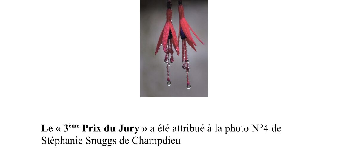 Concours photo 2025 à Champdieu