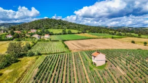 Enquête publique  – PAEN DES COTEAUX DU FOREZ