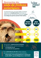 Plan de lutte contre le frelon asiatique (LFA)